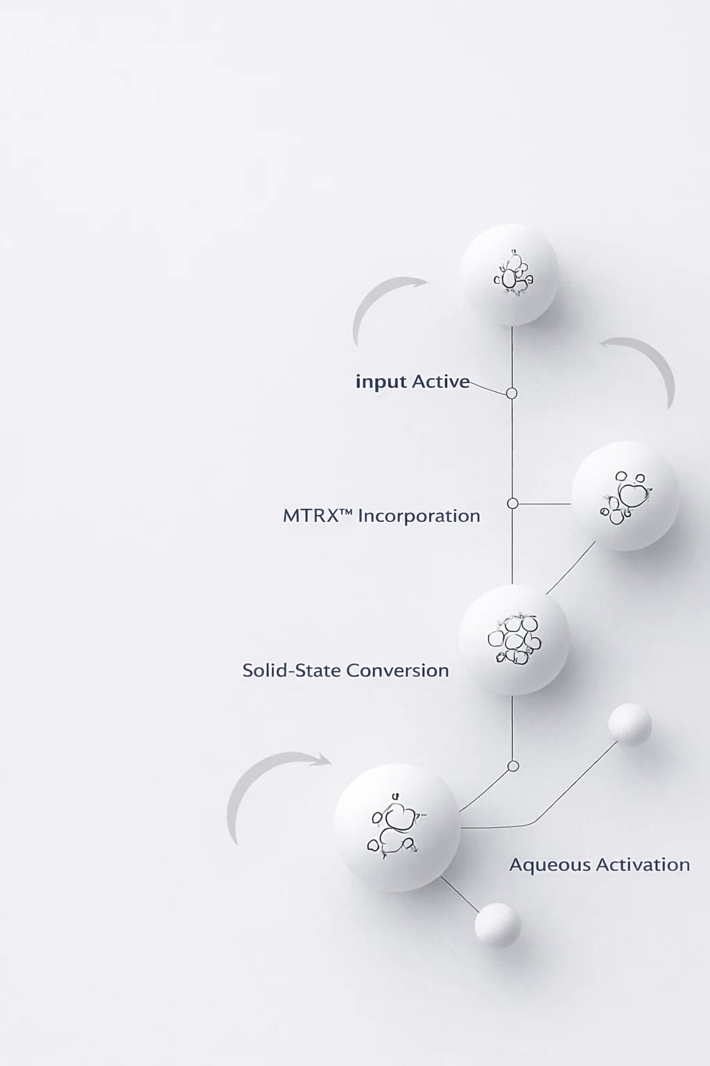 MTRX molecular pathway
